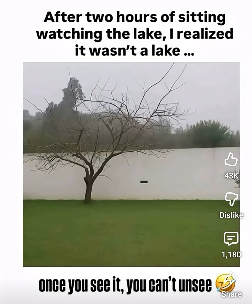 Screenshot_20251030_163415_YouTube.jpg