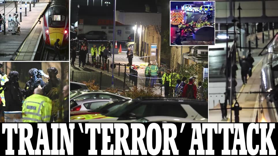 1762047895061.jpeg 1762047895061.jpeg