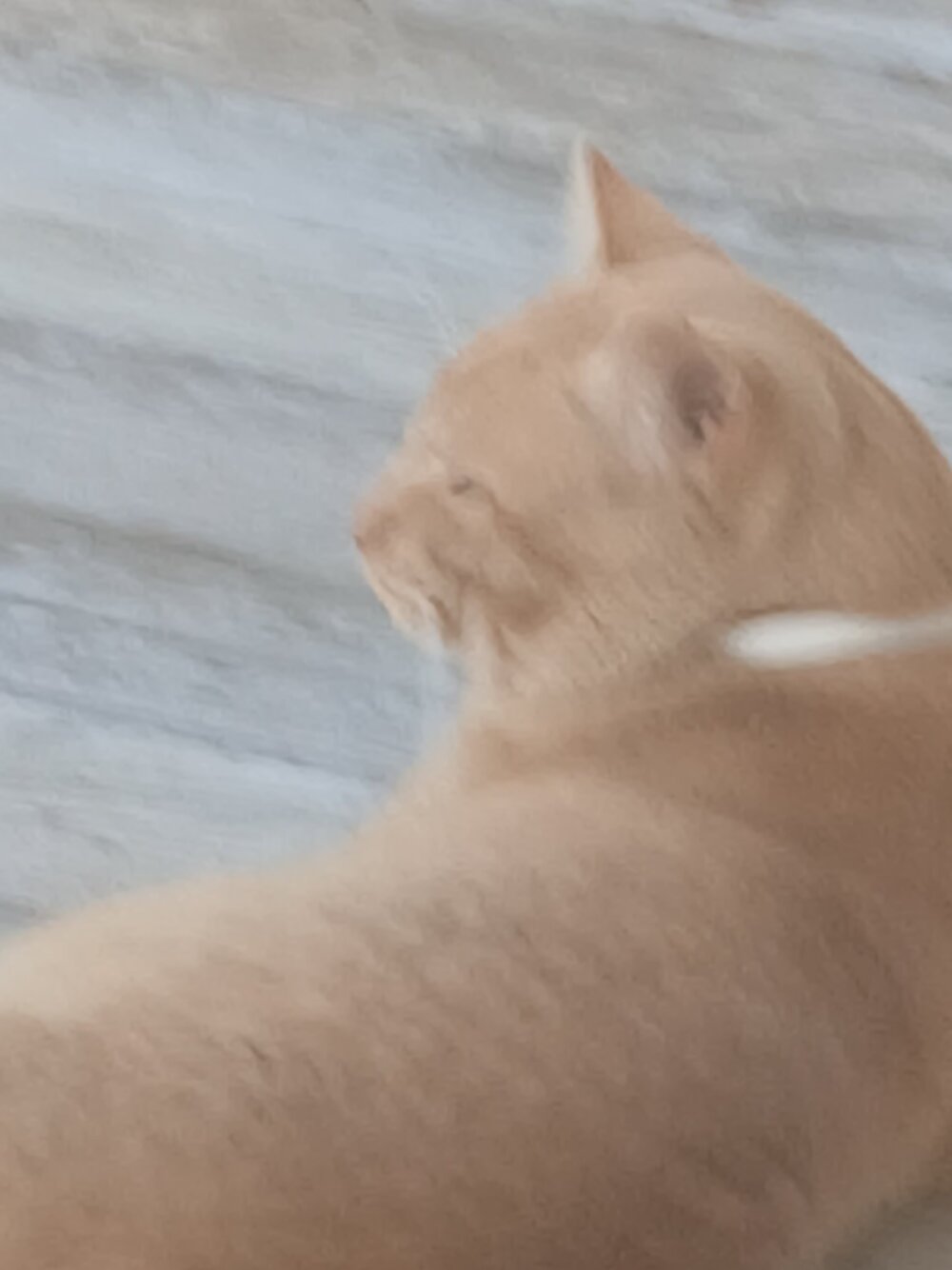 20251113_121733.jpg