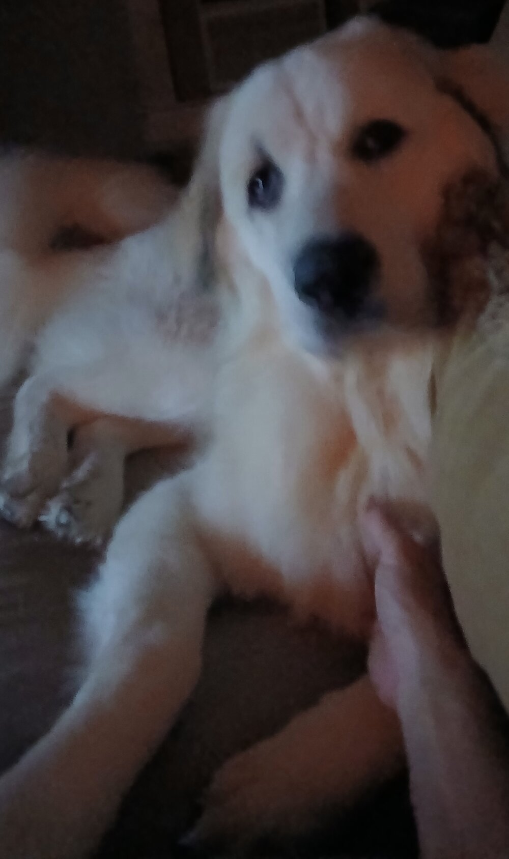 20250822_231554.jpg
