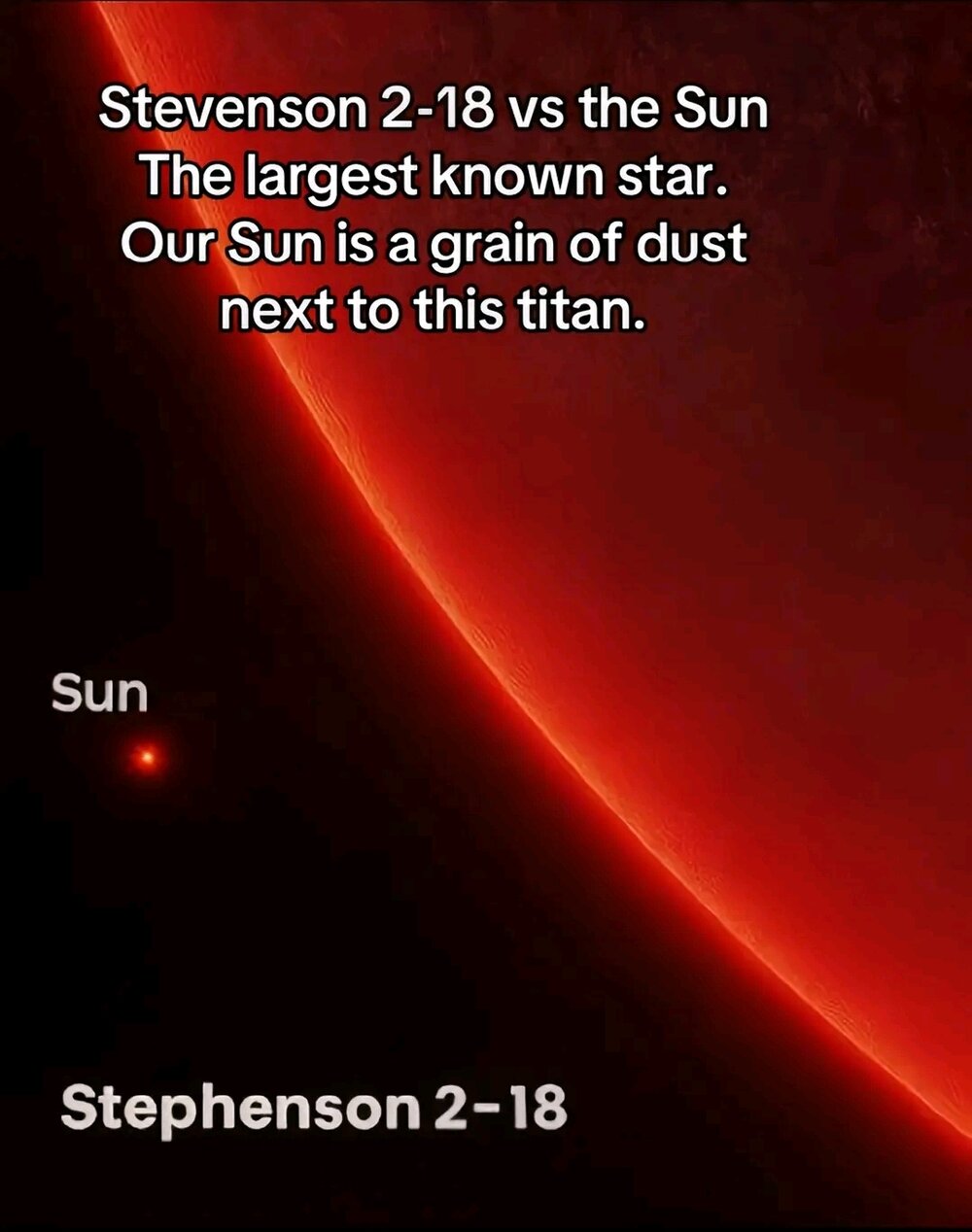 Screenshot_20251130_193701_TikTok.jpg
