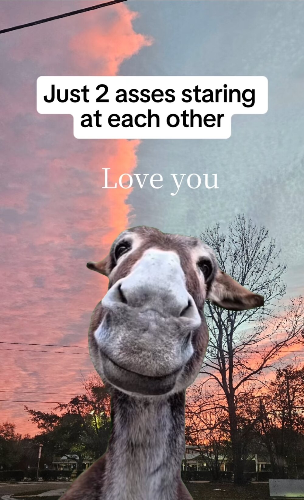 Screenshot_20260110_025712_TikTok.jpg