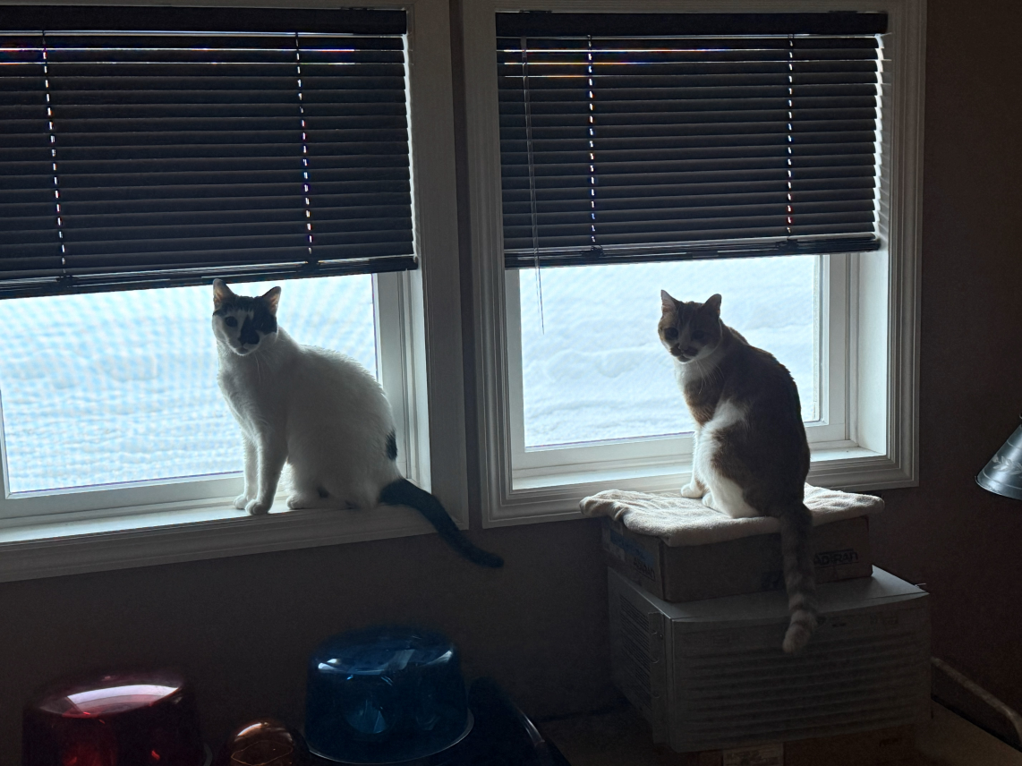 1768914415629.png