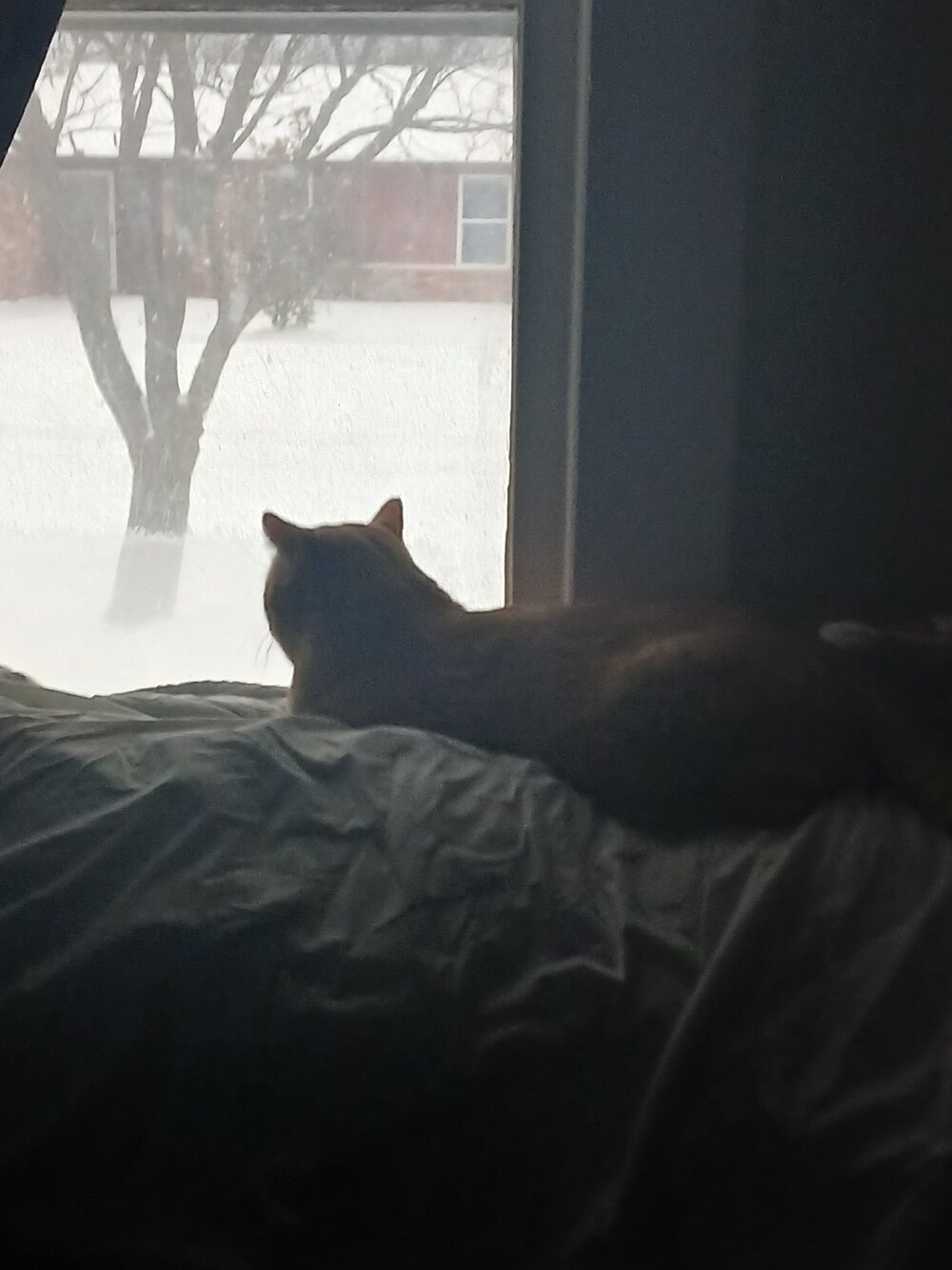 20260124_075948.jpg