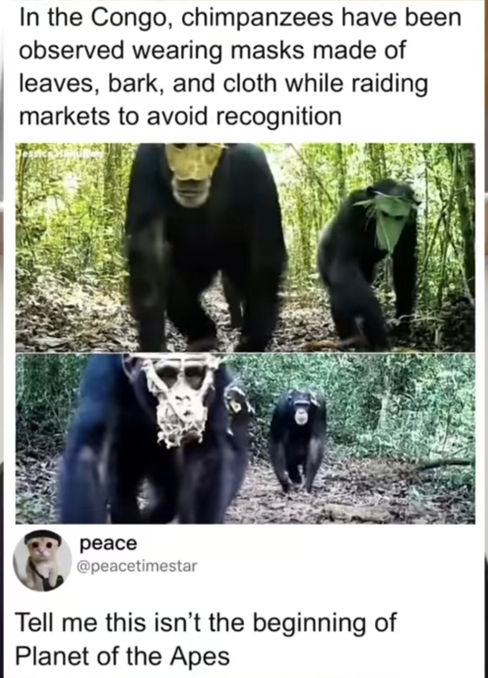 Screenshot_20260426_100811_TikTok Lite.jpg