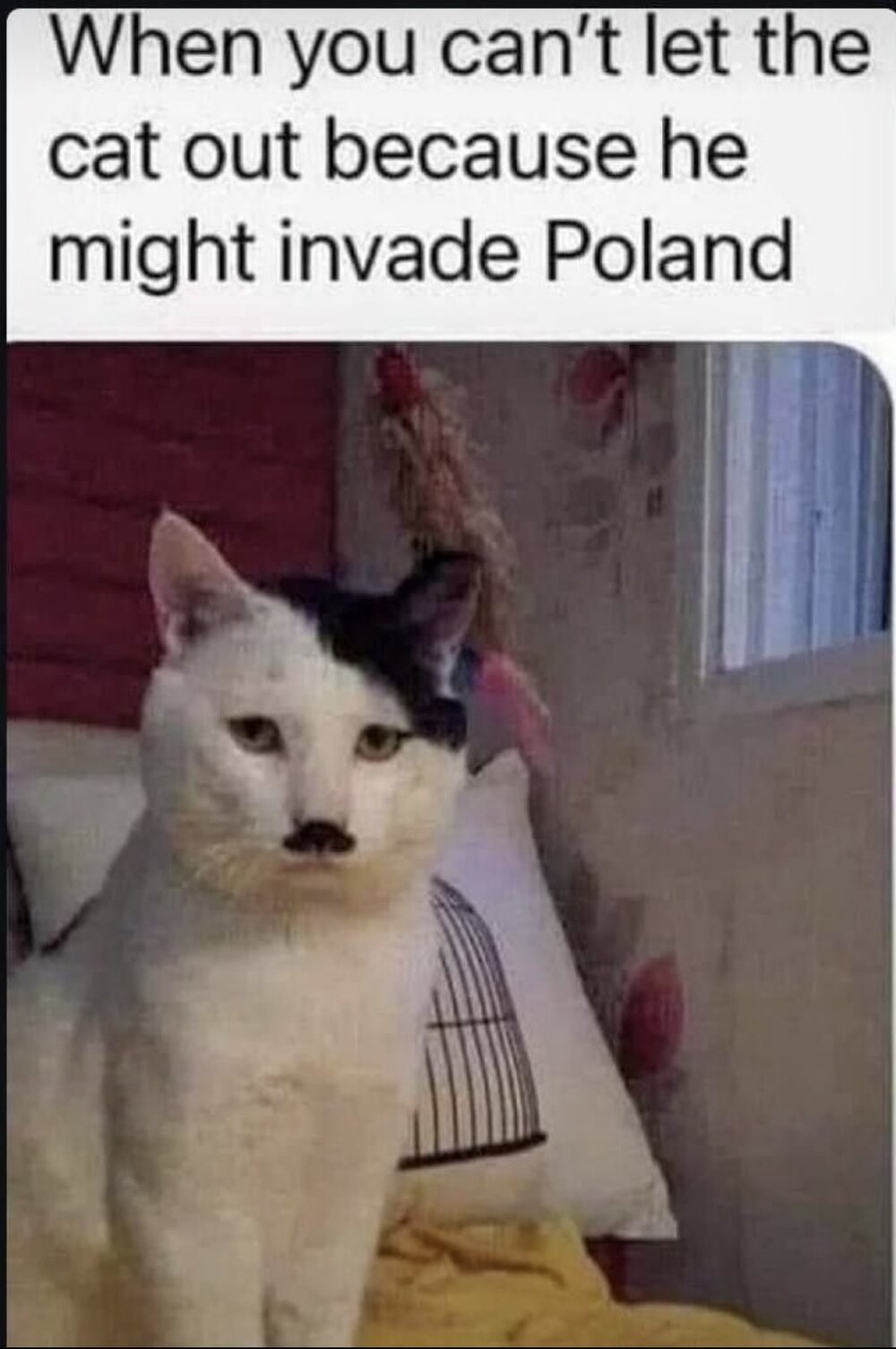 1790678333749.jpeg