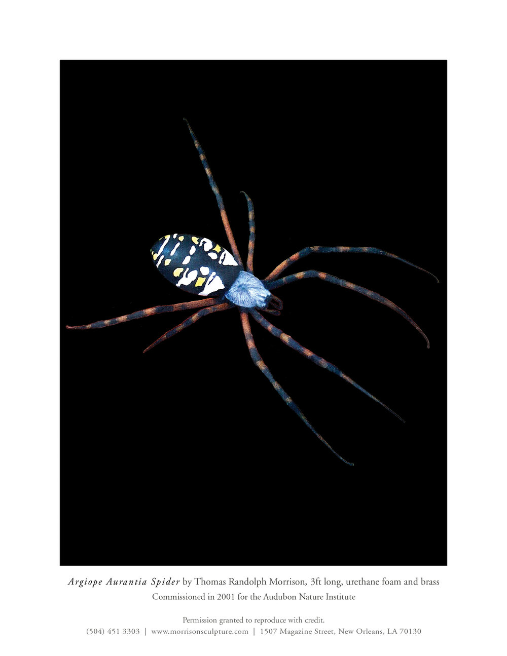 25.Argiope Aurantia Spider 3ft commission 2001.jpg