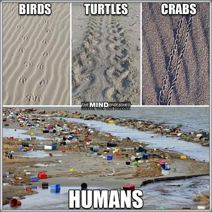 ECb4C4PX4AEfW8k.jpg