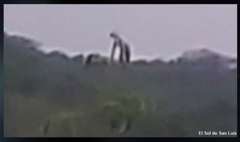 Screenshot_20200529-190200.jpg