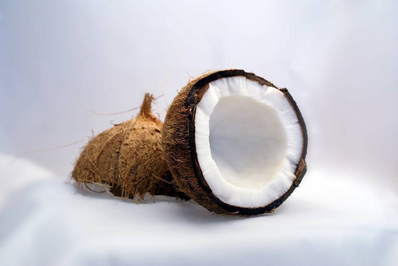 coconut-1125_1280.jpg
