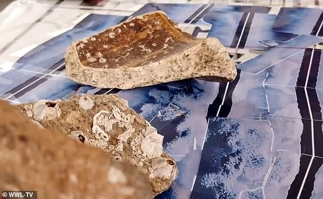 Gelé has personally funded and conducted more than 40 underwater research expeditions in the area since 1974. Pictured are granite pieces he pulled from the waterse