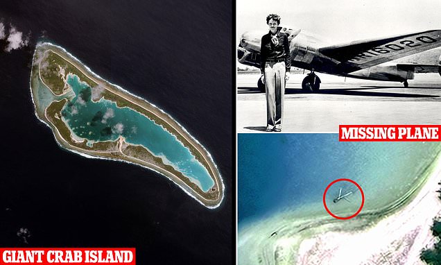 I know where Amelia Earhart is after tracing bombshell picture... we're off to the island