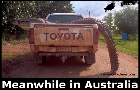 funny-meanwhile-in-australia.png