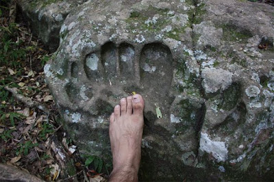 footprint9.jpg