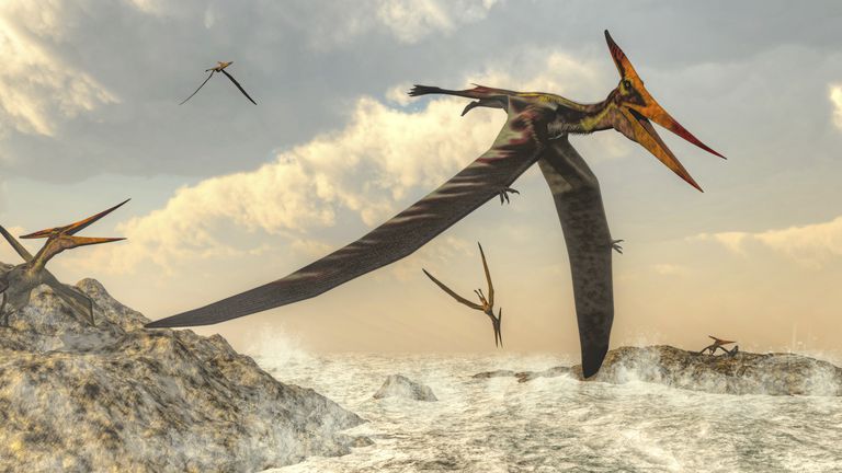 pteranodon-bird-flying-above-ocean--594380947-599759f3054ad90011f67d40.jpg