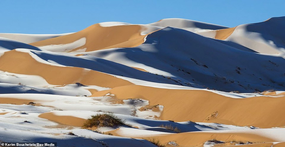 38110754-9156697-This_month_has_seen_snowfall_in_the_Sahara_and_temperatures_in_S-a-69_1610886481930.jpg