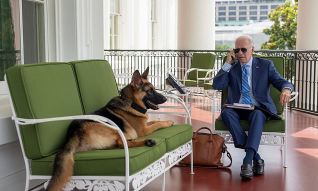 Biden posts picture with dog Commander after doctor said symptoms are 'almost completely