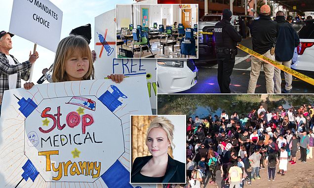 MEGHAN MCCAIN: What insanity that children are locked out of school for not having a Covid