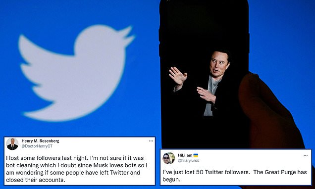 Twitter users report losing followers after Elon Musk takeover
