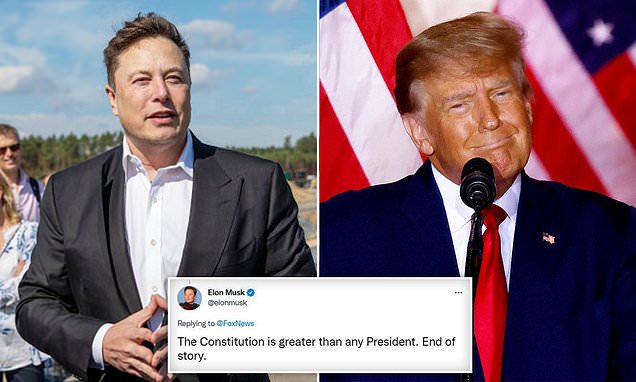 Elon Musk responds to Donald Trump's calls to 'TERMINATE' the Constitution after bombshell