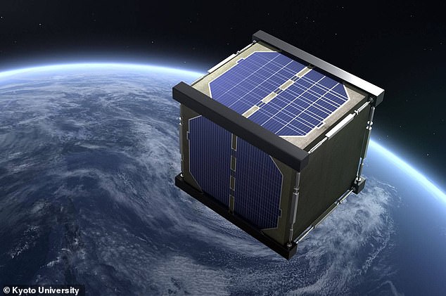 Japanese scientists plan to branch out from traditional materials to use wood in a new satellite to be launched this summer