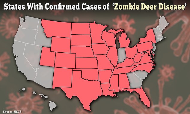 At least 32 states in America and parts of Canada have seen reports of a virus dubbed 'zombie deer disease' that could potentially spread to humans