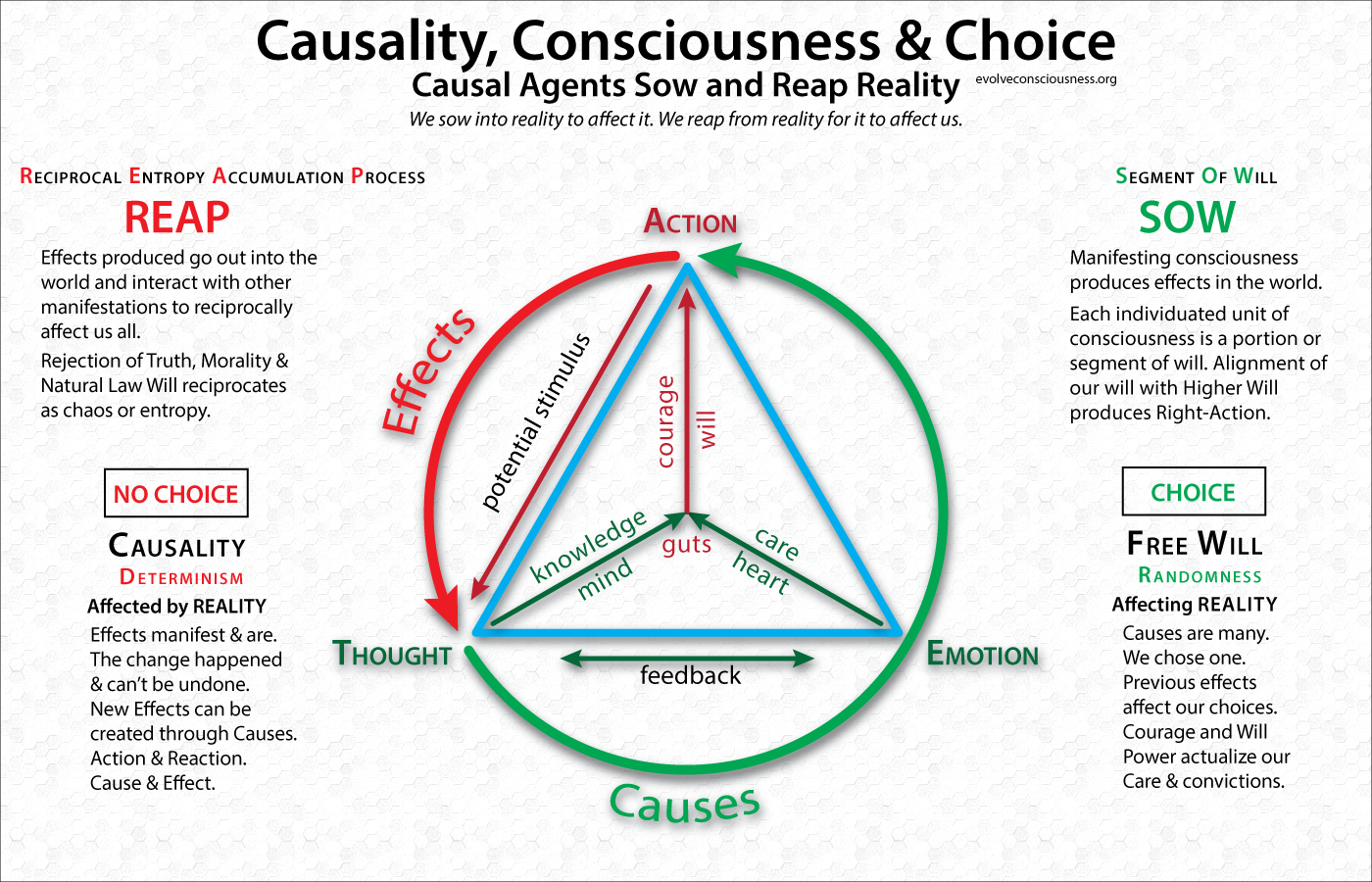 Causality-Consciousness-Choice.png