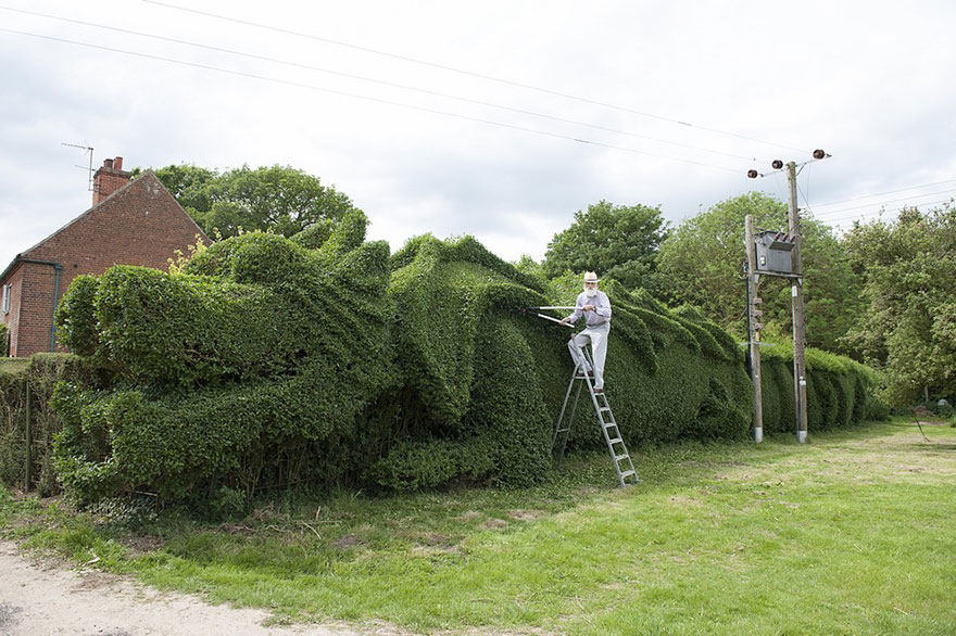 dragon-shaped-hedge-topiary-john-brooker-2.jpg