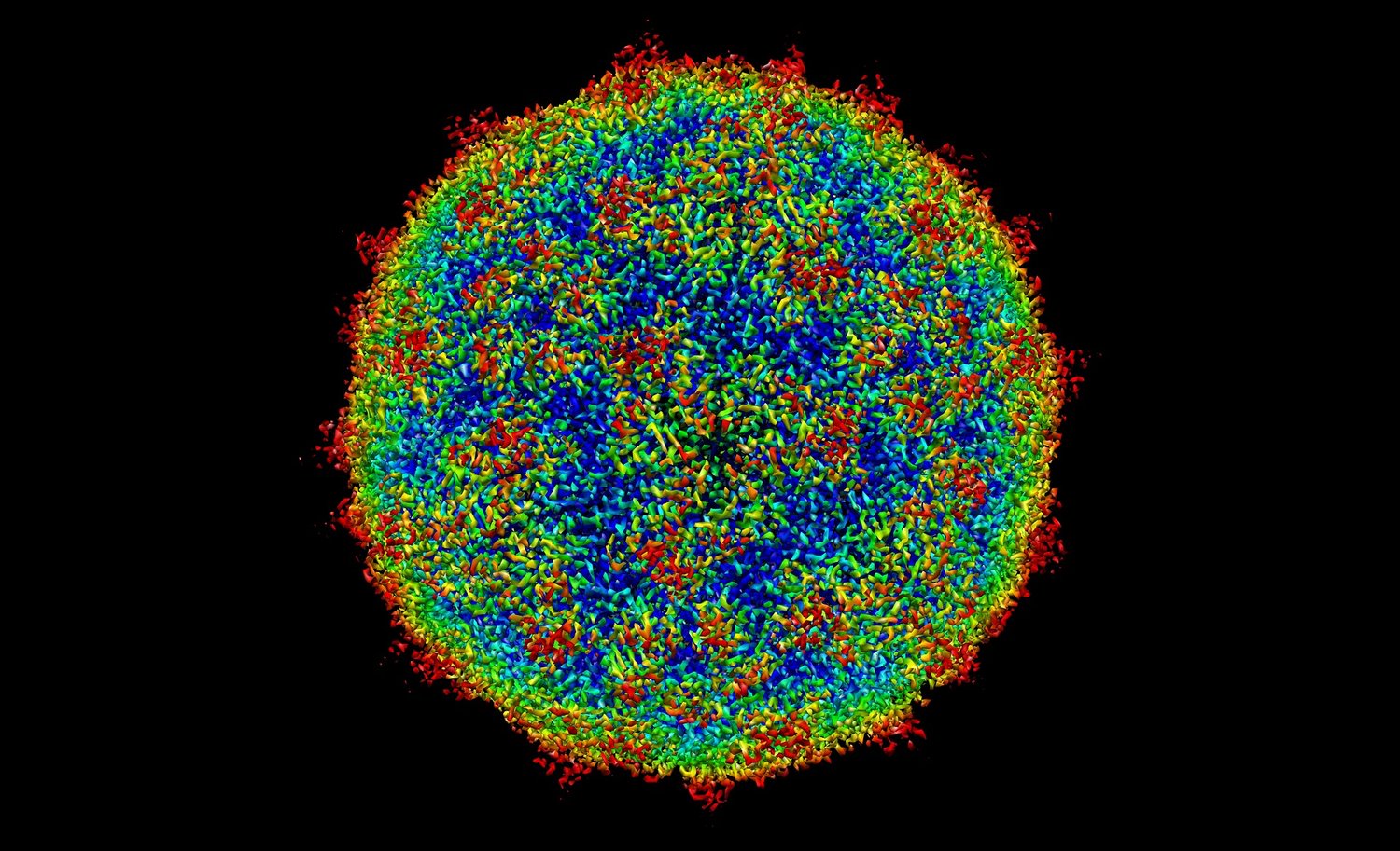 human-rhinovirus-c15a-1750028_1920.jpg