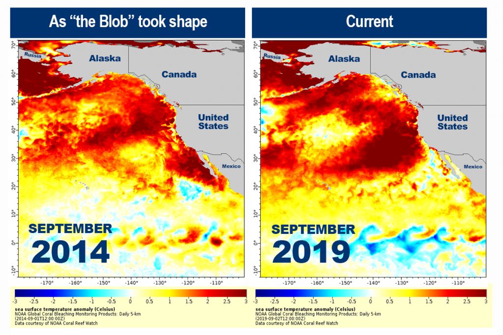new-blob-hot-water-west-coast-usa-1024x683.png