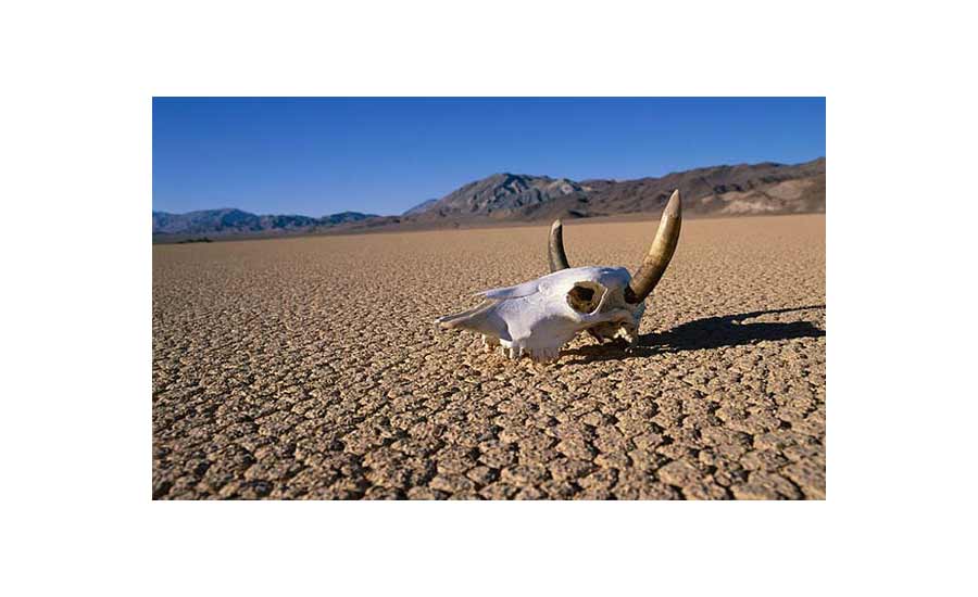 Death-Valley-011.jpg